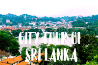CITY TOUR OF SRI LANKA