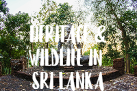 HERITAGE & WILDLIFE IN SRI LANKA